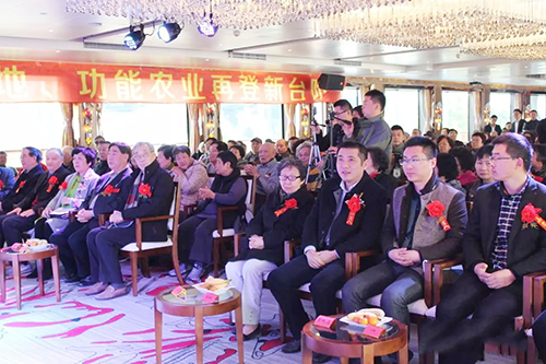图片13.png