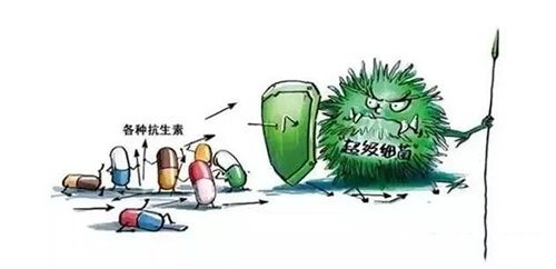 图片15.png