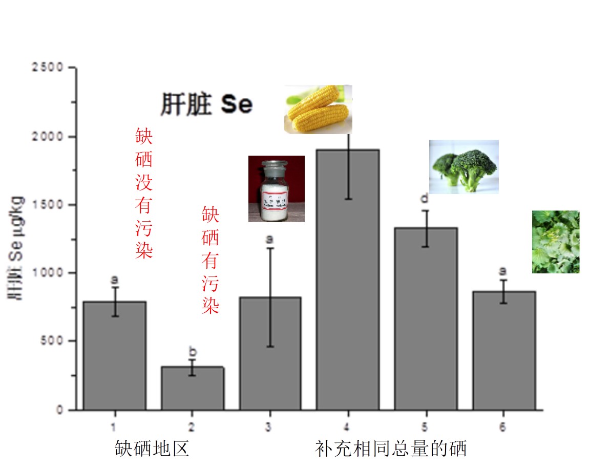 05.1补硒对比图.jpg
