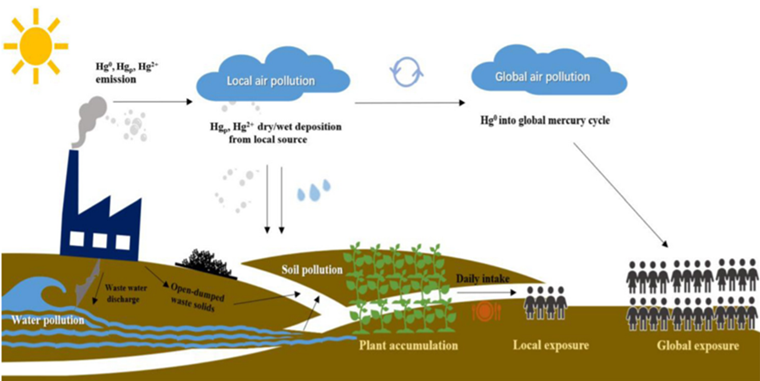 汞的暴露途径.png
